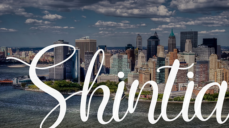 Shintia Font Family