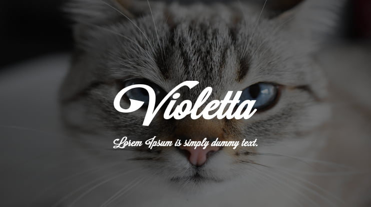 Violetta Font
