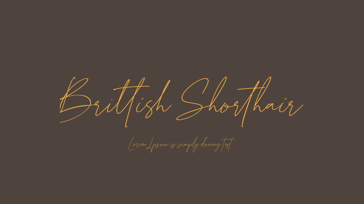 Brittish Shorthair Font