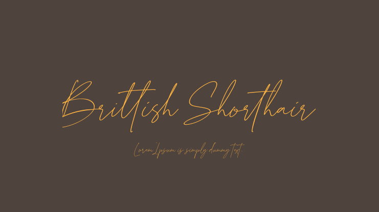Brittish Shorthair Font