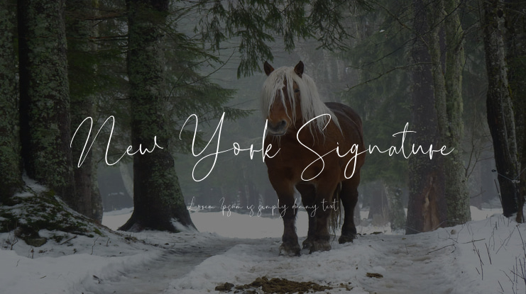 New York Signature Font Family