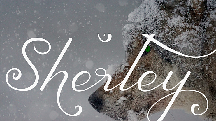 Sherley Font