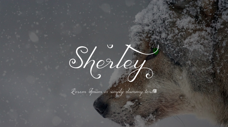 Sherley Font