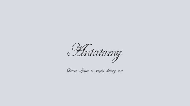 Antatomy Font