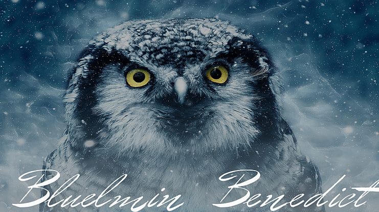 Bluelmin Benedict Font