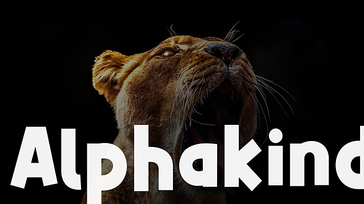 Alphakind Font