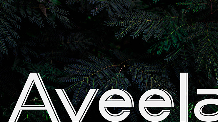Aveela Font