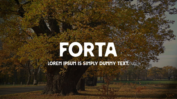 FORTA Font