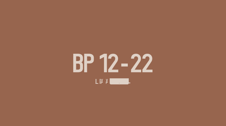 BP 12-22 Font