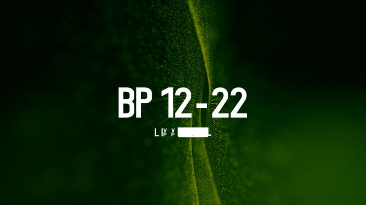BP 12-22 Font