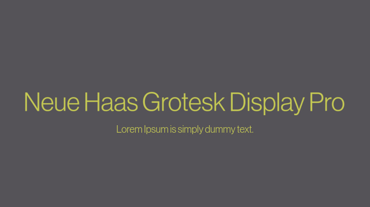 Neue Haas Grotesk Display Pro Font Family