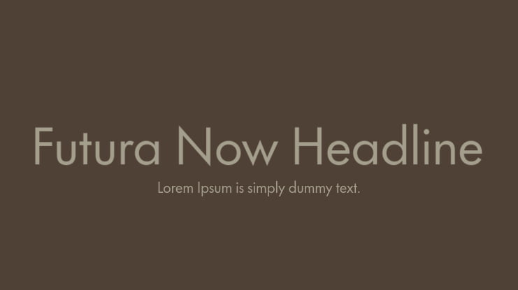 Futura Now Headline Font Family