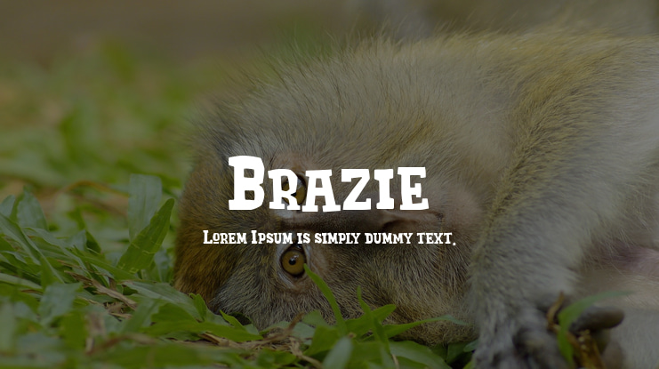 Brazie Font