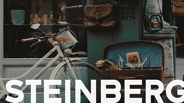 Steinberg Font