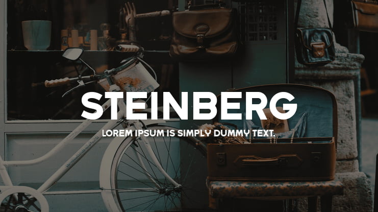 Steinberg Font