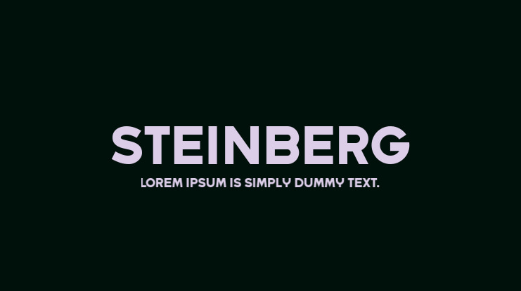 Steinberg Font