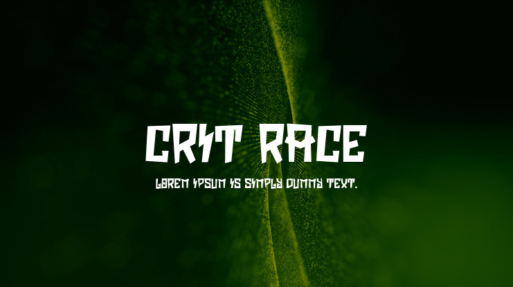 CRIT RACE Font