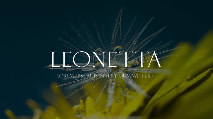 Leonetta Font