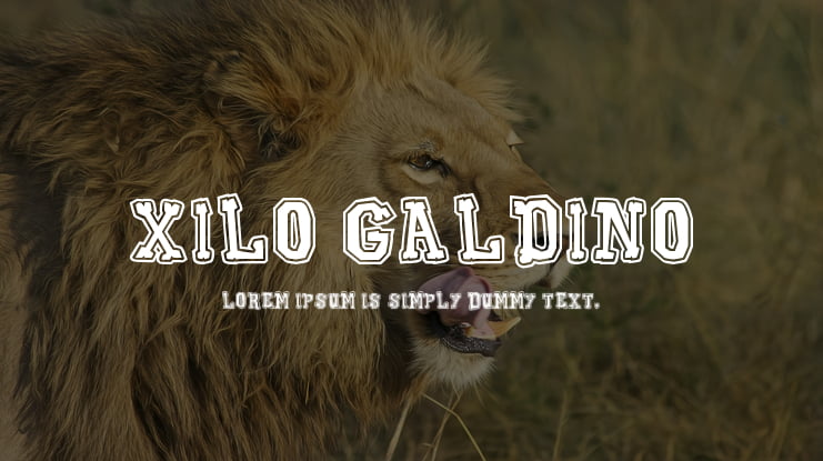 Xilo Galdino Font Family