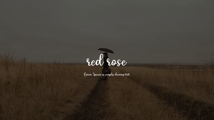 red rose Font