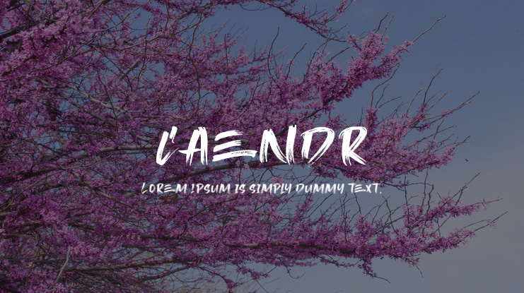 Caendr Font