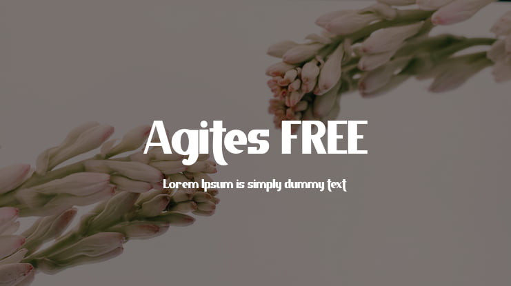 Agites FREE Font