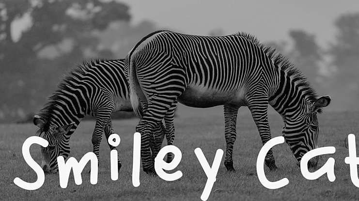 Smiley Cat Font