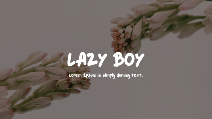 LAZY BOY Font