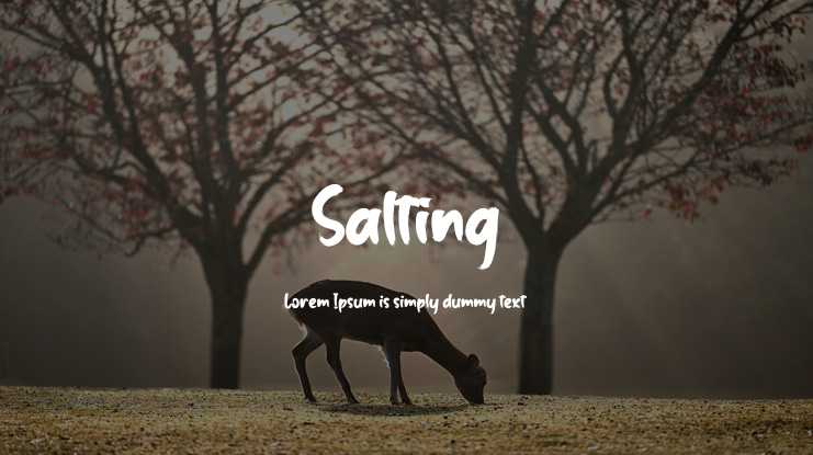 Salting Font