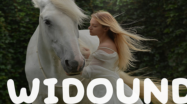 Widound Font