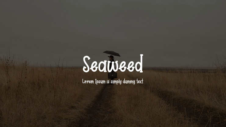 Seaweed Font