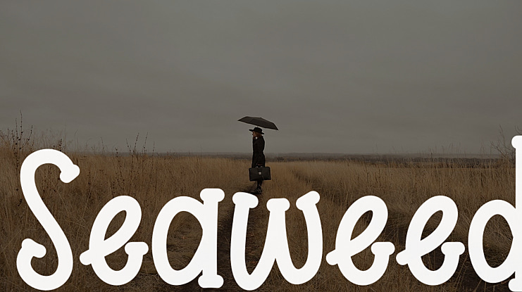 Seaweed Font