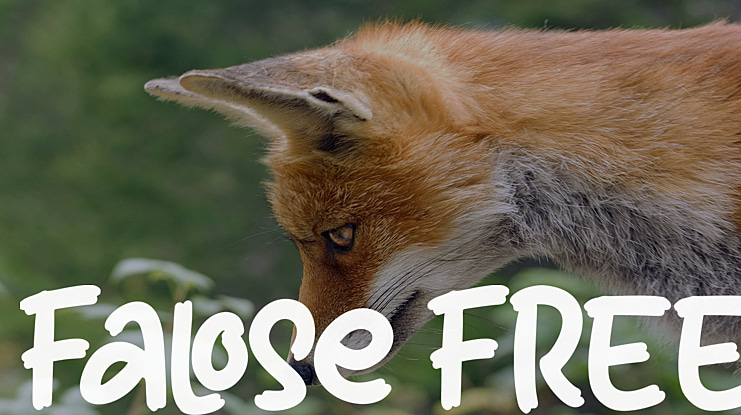 Falose FREE Font