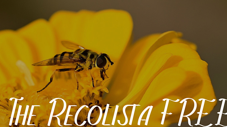 The Recolista FREE Font