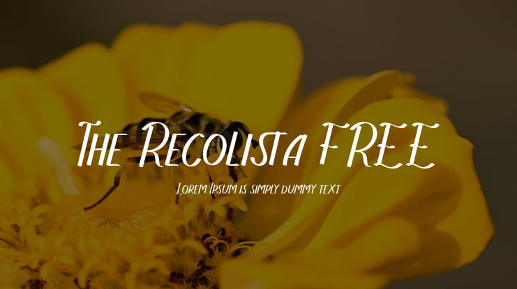 The Recolista FREE Font