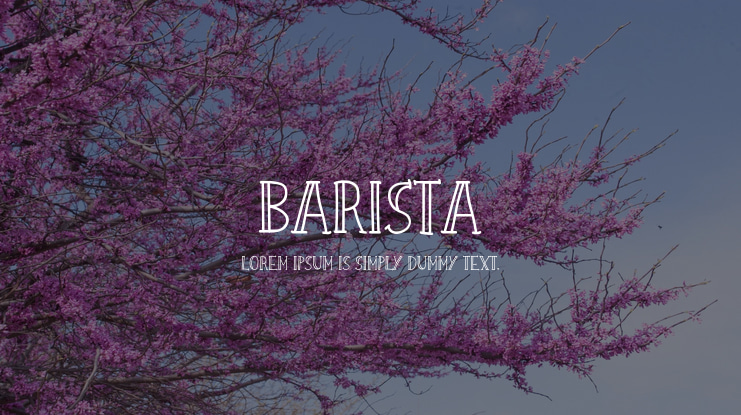 Barista Font