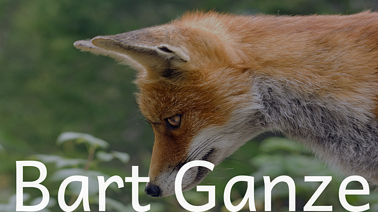 Bart Ganzel Font