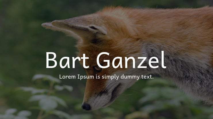 Bart Ganzel Font