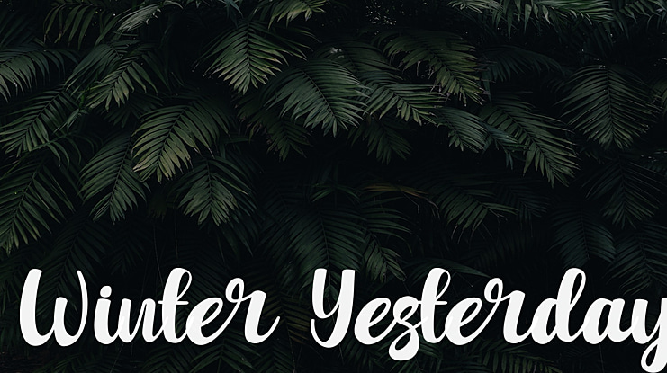Winter Yesterday Font