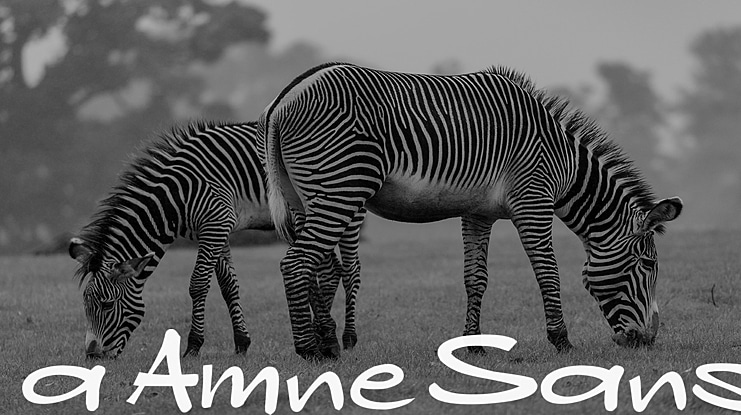 a Amne Sans Font
