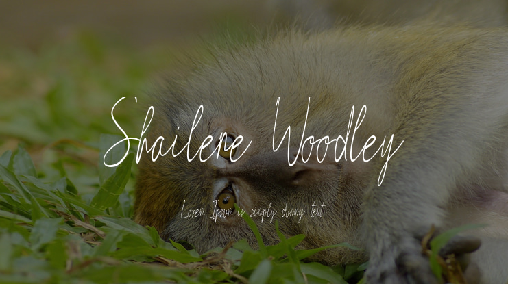 Shailene Woodley Font