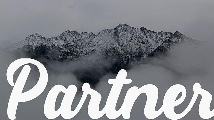 Partner Font