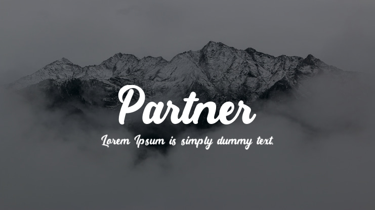 Partner Font