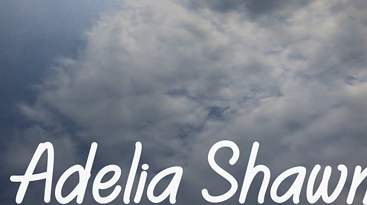 Adelia Shawn Font