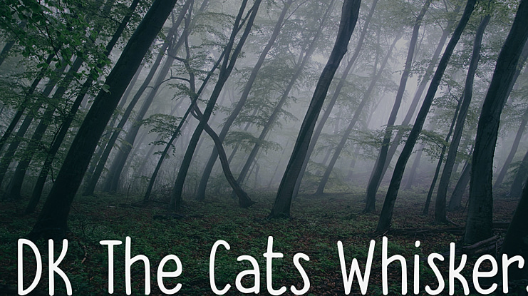 DK The Cats Whiskers Font