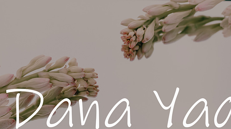 Dana Yad Font