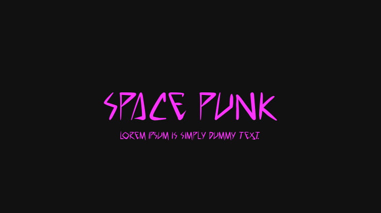 space punk Font Family