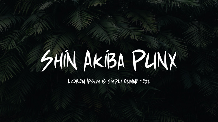 Shin Akiba Punx Font Family