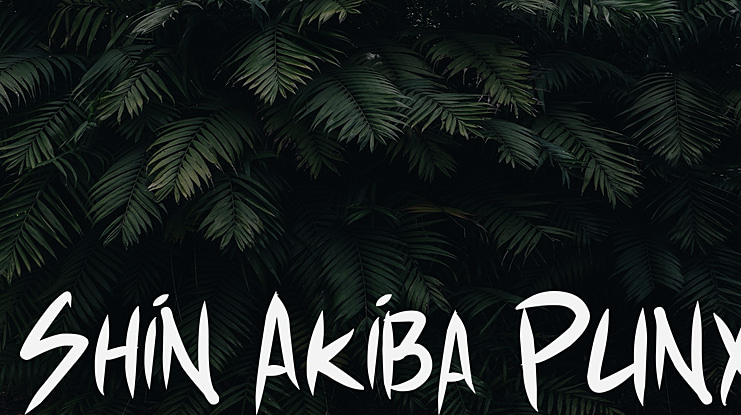 Shin Akiba Punx Font Family