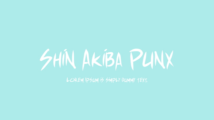 Shin Akiba Punx Font Family